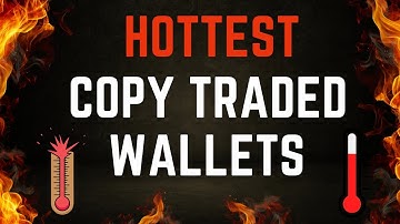 Hottest Copy Traded Wallets (Hyperliquid Copy Trading)
