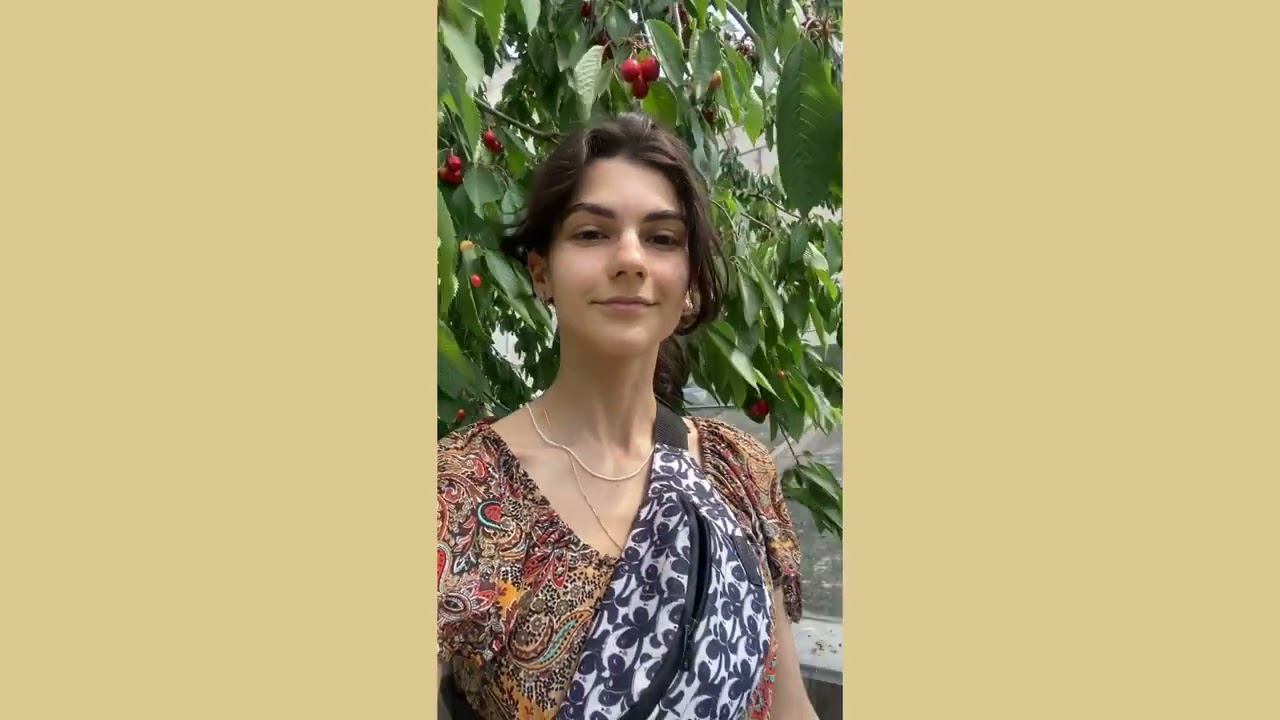 Trinity Day in Ukraine 12.06.2022