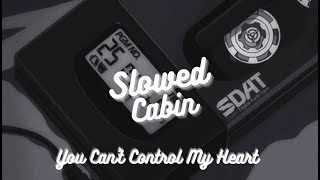 Timmies - You Can't Control My Heart (slowed and reverb)