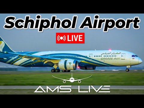 Amsterdam Schiphol Airport Live | Sep 27, 2025