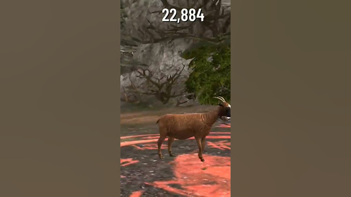 Poopy Goat #poopy #goat #poopygoat #fyp