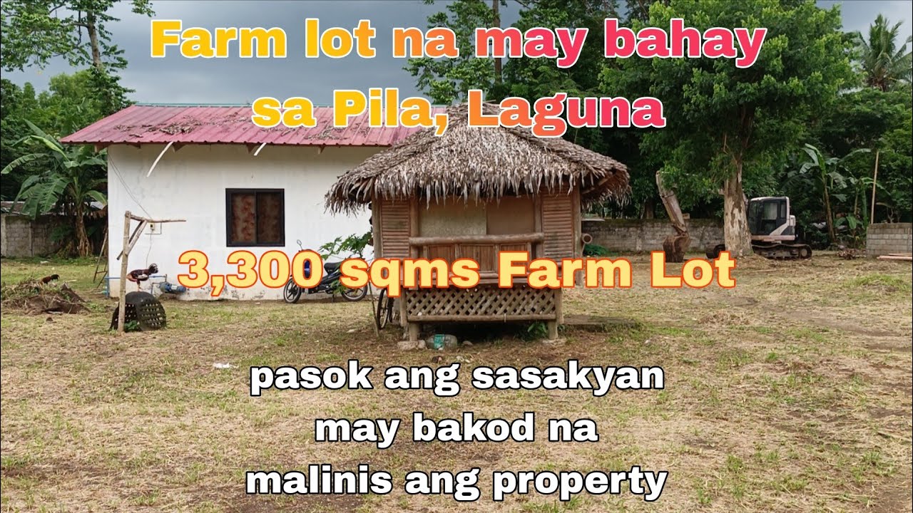 (P# 812) 3,300 sqms Farm Lot @ 5.5M negotiable price in Pila, Laguna