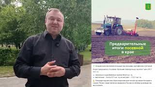 Дмитрий Полушин о жёстком высказывании чиновницы и об аресте мэра Красноярска