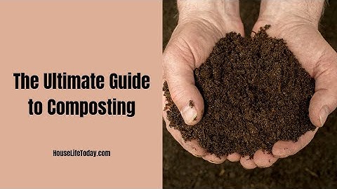 The Ultimate Guide to Composting