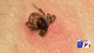 Retour De La Saison Des Tiques Dans Le Rhode Island