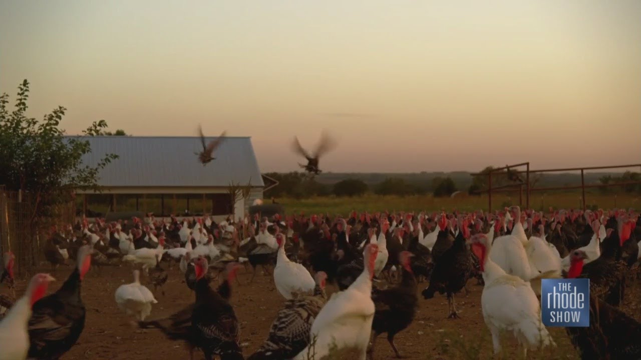 Newport Film YouTube