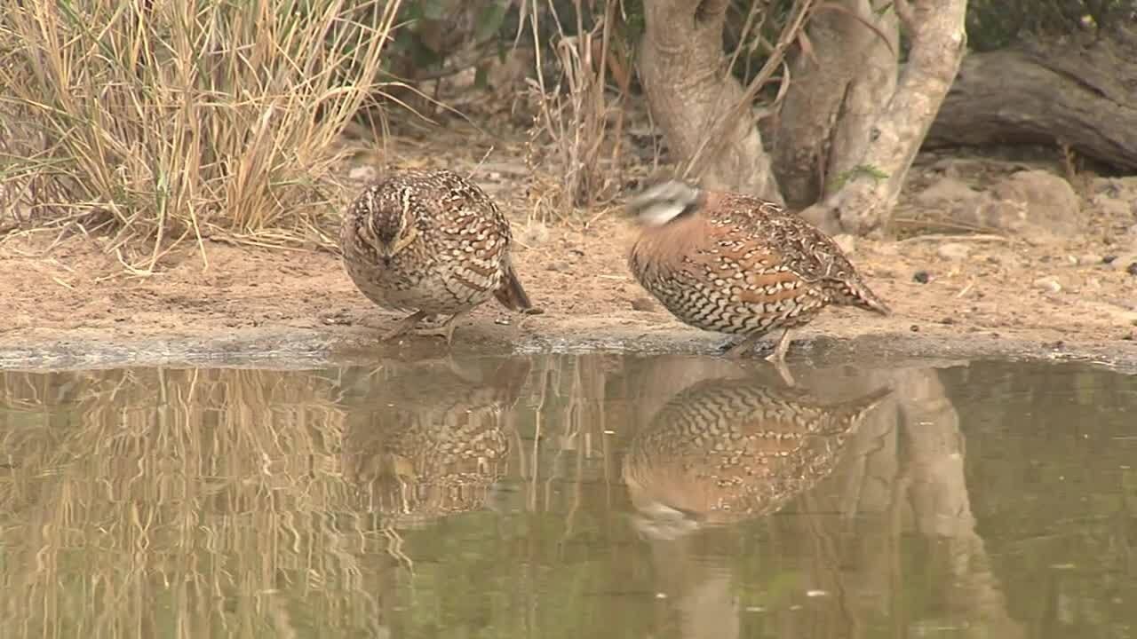 Richard Moore Outdoor Report: Sunrise Revelations