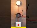 wiring connection of a bulb💡controlled by a switch⚡#shorts #electrician #newvideo #electricalindia