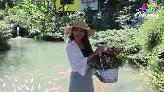 Nokoipi Zou Diau (Instrumental)