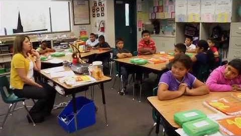 Guided Practice: Mild/Moderate Disabilities