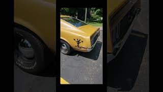 MUSTANG!! #subscribe @PeninsulaPirates906 #fordmustang #fordperformance #ford #mustang