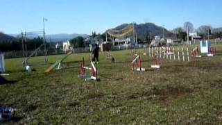 20091226.avi