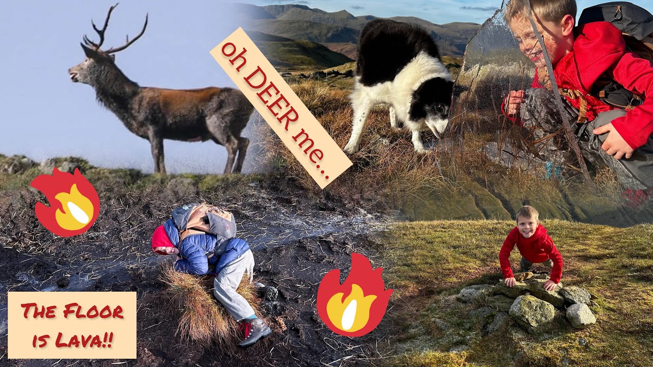 BROCK CRAGS, THE NAB, REST DODD | Lake District | Wainwright Walks For Kids | HIKING