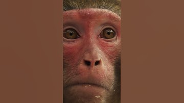 When the world stands still 🌊☀️