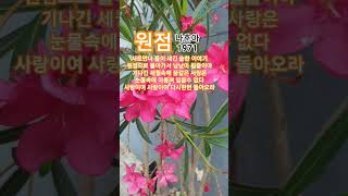 원점  #나훈아#트로트#1971나훈아인생곡ㆍ최고히트인기애창곡
