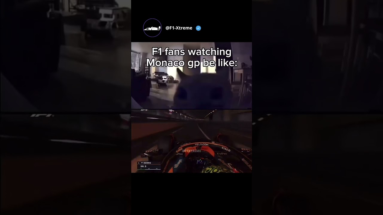 Monaco GP Got F1 Fans Like… 🤯🔥