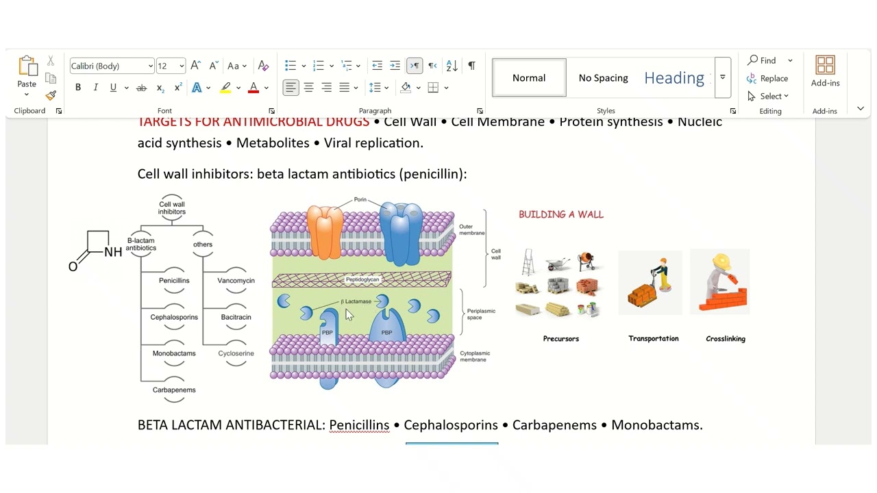 Beta-lactam Antibiotics | Rahma Ibrahim | Pharmacology Made Easy