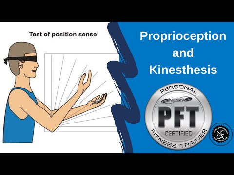 Proprioception and Kinesthesis - Fitness Professional Education