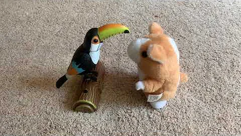 When two talking toys meet