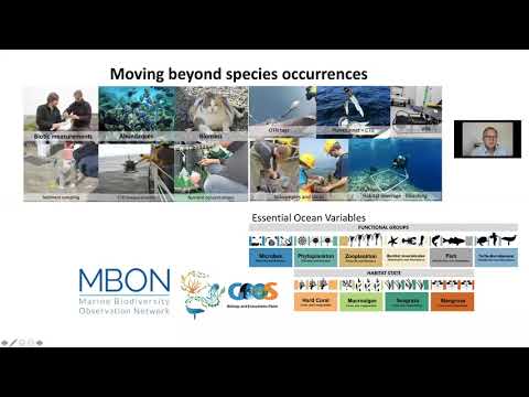 Ward Appeltans - Ocean Biodiversity Information System/UNESCO-IOC