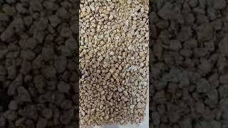 Golden Maifan Medical Stone Succulents