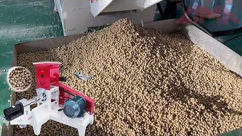 LIMA Dry way floating fish feed machine motor type#extruder #fishing #youtubeshorts #pets