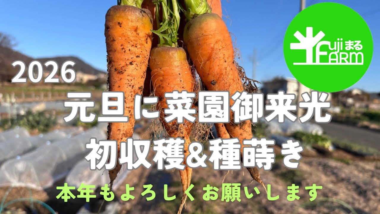 【超速】元旦から家庭菜園2026