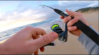 Tips on Beach Fishing With Lures… turned in to chaos screenshot 5
