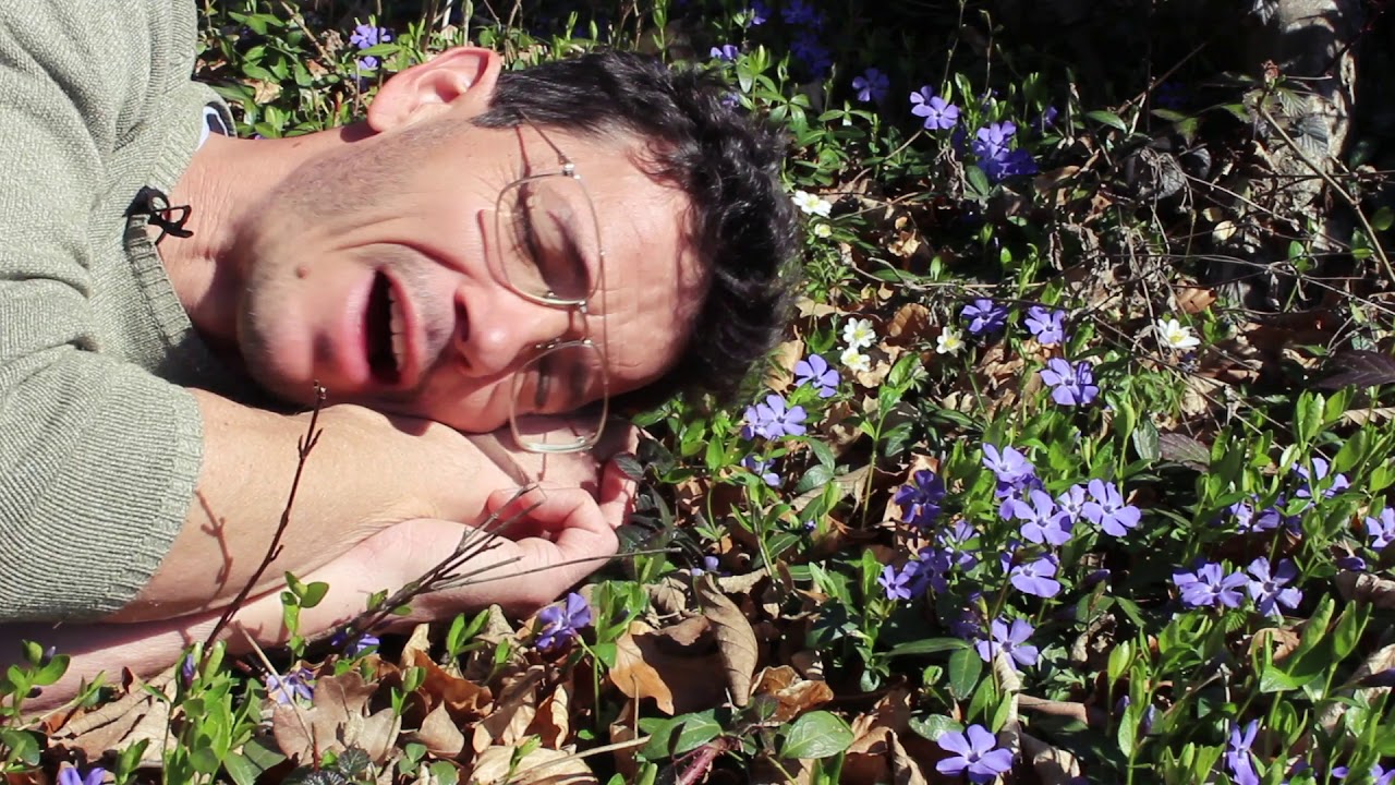 Hummel-, Bienen- und Schmetterlingspflanzen im März -  ein Frühlingsspaziergang