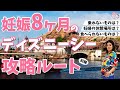 最高のコレクション ディ��ニー シー 妊婦 乗れる 130627-ディズニー タクシー 乗���て みた