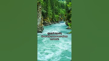 সূরা আল-কাউসার | Al-Kawthar | سورة الكوثر আয়াতঃ ৩ মাক্কী #explore #islamicstudies