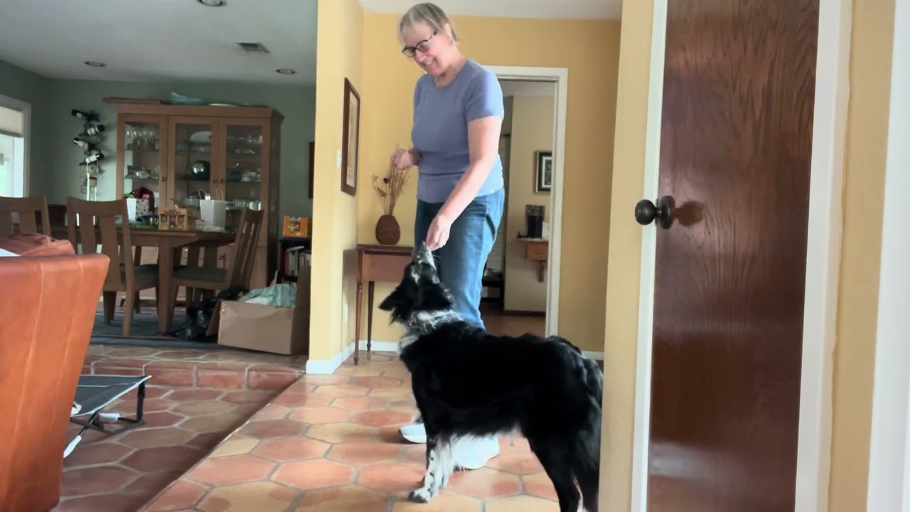 Magnet Hand Nose To Hand In Motion