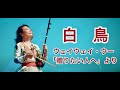 二胡奏者ウェイウェイ・ウー「白鳥」　アルバム「贈りたい人へ」より #StaySimle #WEIWEIWUU