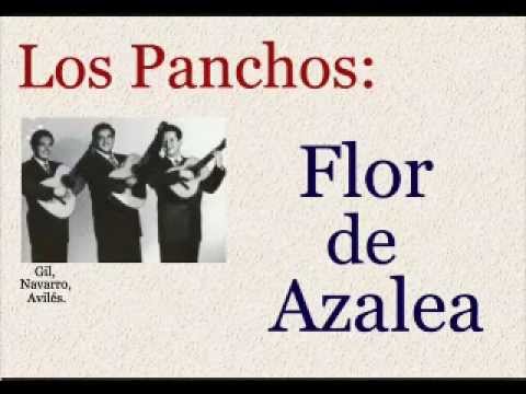 Los Panchos: Flor De Azalea - (letra y acordes) - YouTube