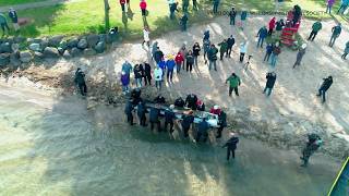 Celebrity The epic history of ancient Native canoes in Lake Mendota | Here & Now Profile