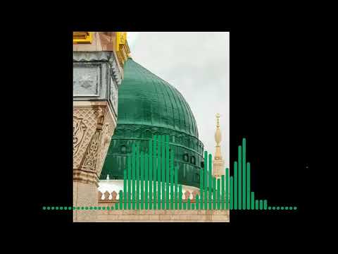 وسائل الوصول إلى شمائل الرسول للشيخ يوسف بن اسماعيل النبهاني الجزء الثاني