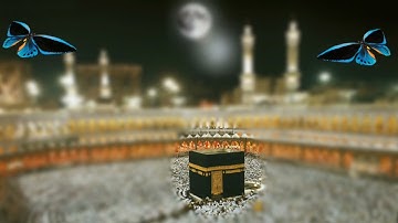 الربع الثاني من سورة آل عمران بصوت جمال الديري