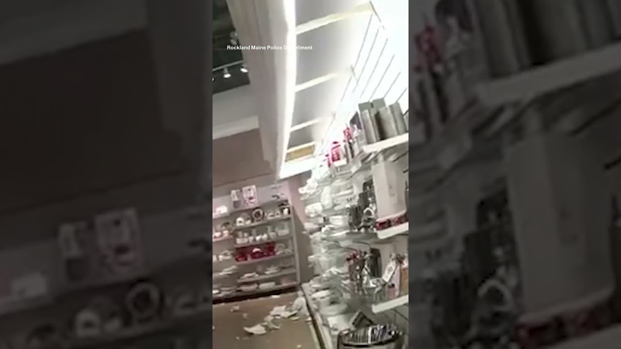 Deer ‘breaks in’ store on Thanksgiving Day