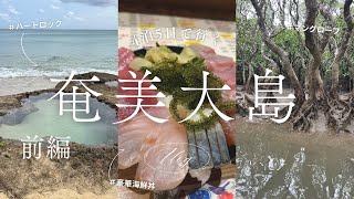 【奄美大島ひとり旅前編】4泊5日で世界自然遺産の島、奄美大島へ！【旅vlog】