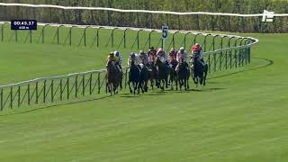 Vidéo de la course PMU PRIX DE LA TOUR SAINT-JACQUES