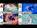ABC phonics animals | ABC Sea Animals song | English and Animals for Kids | Alphabet Kid Song | Baby