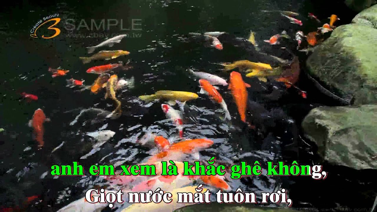 Karaoke ĐIỀU GÌ SẼ ĐẾN (REMIX) -SAKA TRƯƠNG TUYỀN