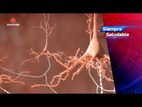 Always Healthy: AI could detect epilepsy seizures – The News First Broadcast