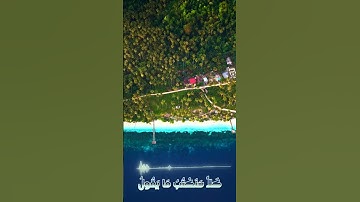 سورة مريم و،.كا.نك تسمعها لأ،؛و.ل مر.ة🌸💙،؛💛🕉️؛،🏵️🌻💮بصوت الشيخ حمزة مدبو.ح 🌺..❣️🏵️🌷،.💮💝❤️