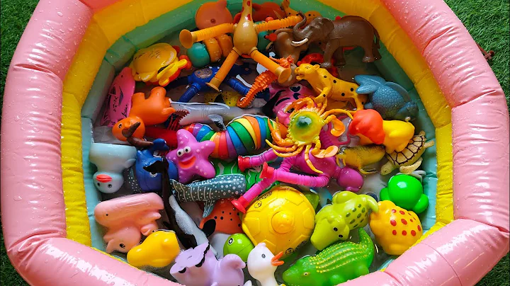 Sea Animal Toys for Kids – Learn Ocean Animal Names & Fun Facts for Preschoolers