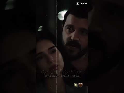 مجنون شو بحبك انا فكرت اسماء اجمل مشهد الهالزي  حب بلا حدود