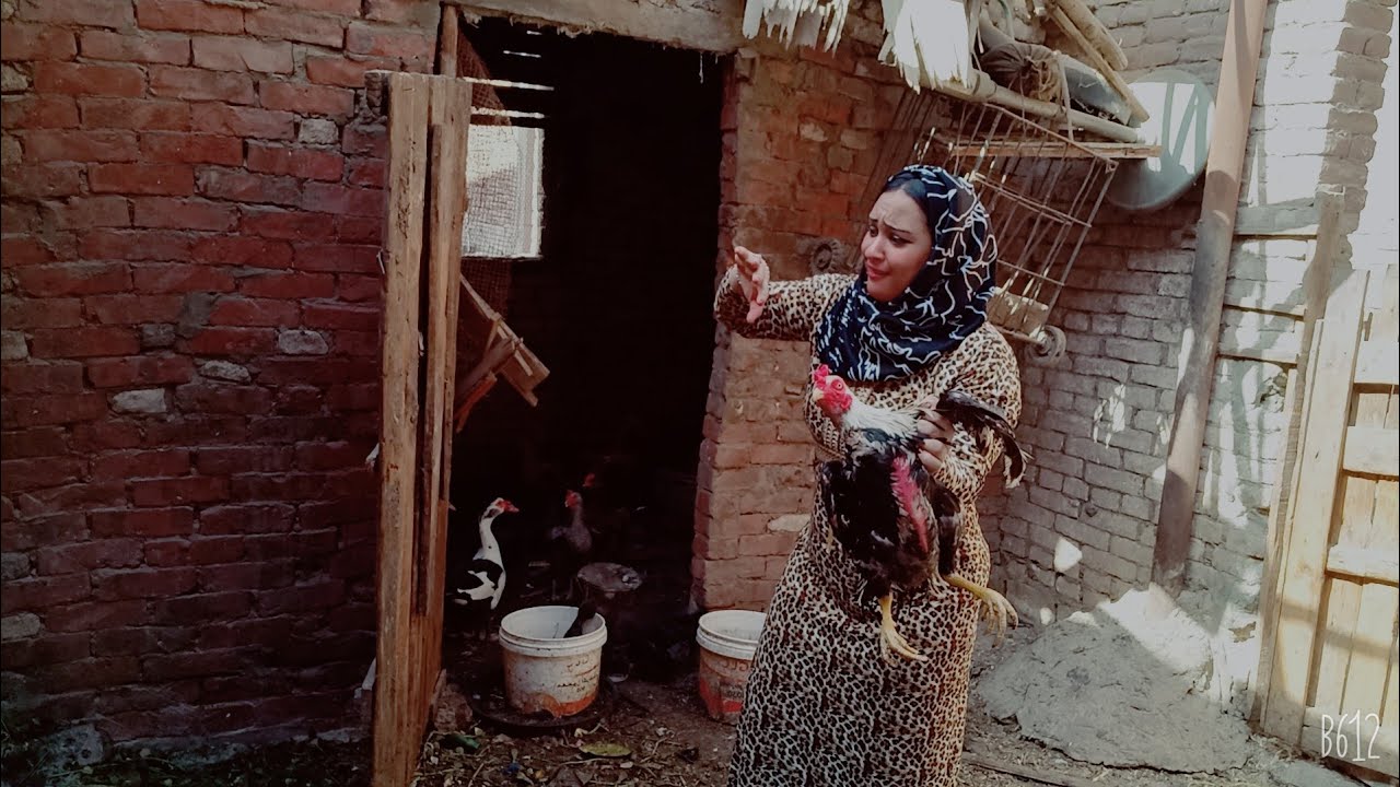 👈روتين الست المصريه 🌺جوله سريعه عند البط🦆 والماعيز 🦙الديك الهندي🐓عضني ف ايدي😭