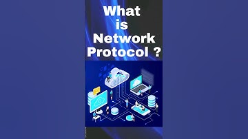 What is Network protocol ?