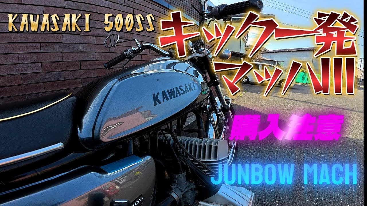 monkey様　ギィ•デサップ[秋雨を行く馬車] 8号　サイン有り 写真] Monkey-King-Special-Custom-Edition_7 │ 猿王、見参