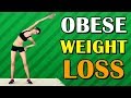 15 Min Obese Beginners Weight Loss Workout 